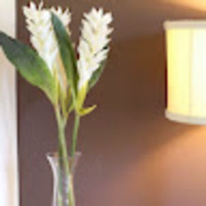 Meet your Posher, Vicky